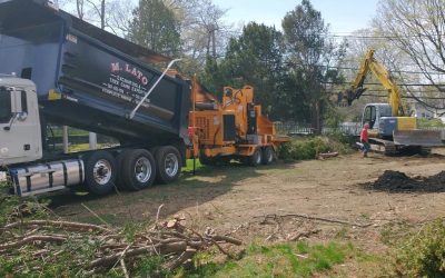 What Does a Dump Truck Service Actually Include? A Guide for Homeowners and Contractors
