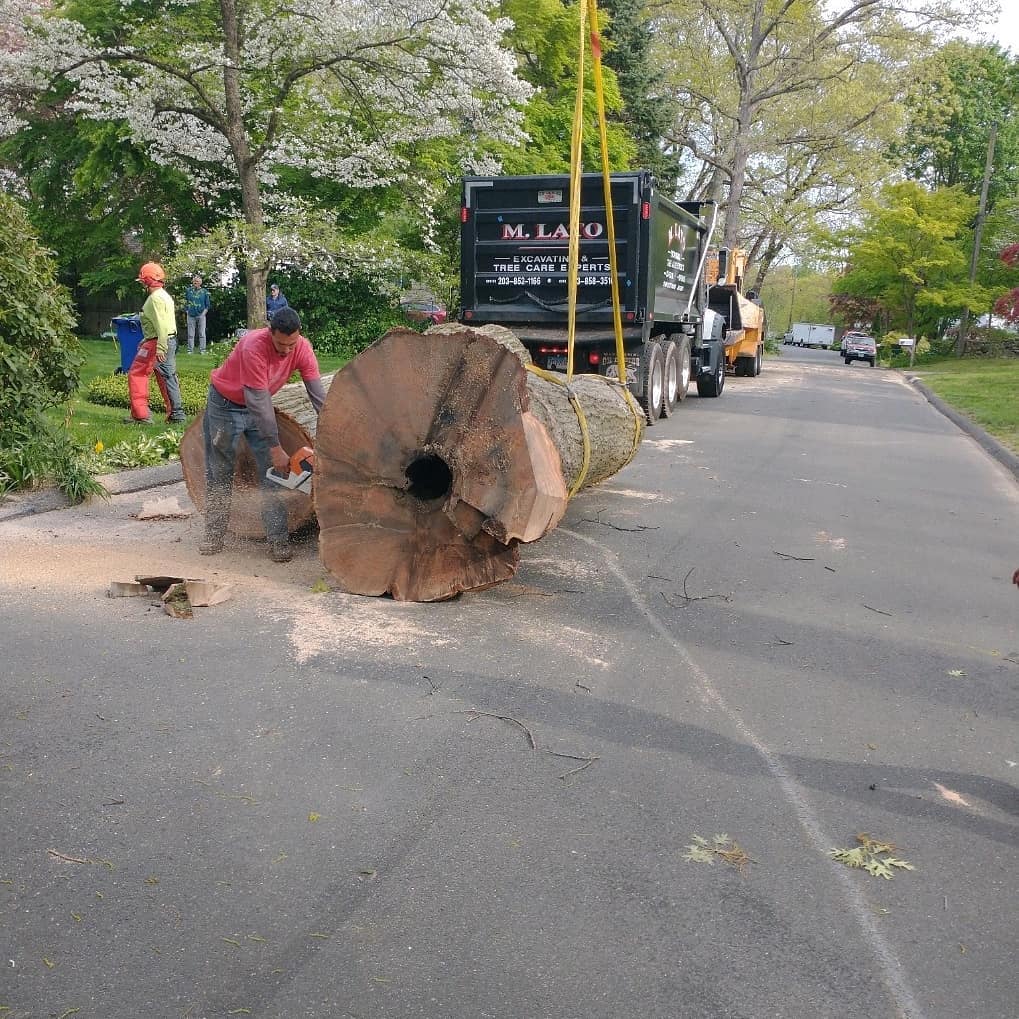 183105450_1360855130958051_1524108680768711455_n Maryland Asphalt Paving Company - S&S Paving LLC