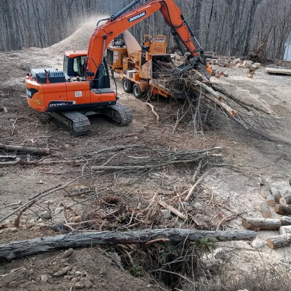 In the heart of the forest, an excavator expertly lifts logs while a wood chipper hums in the background, ensuring efficient tree care.