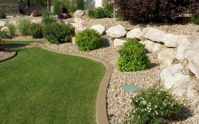 Why Grading and Seeding Are Essential for a Healthy Lawn