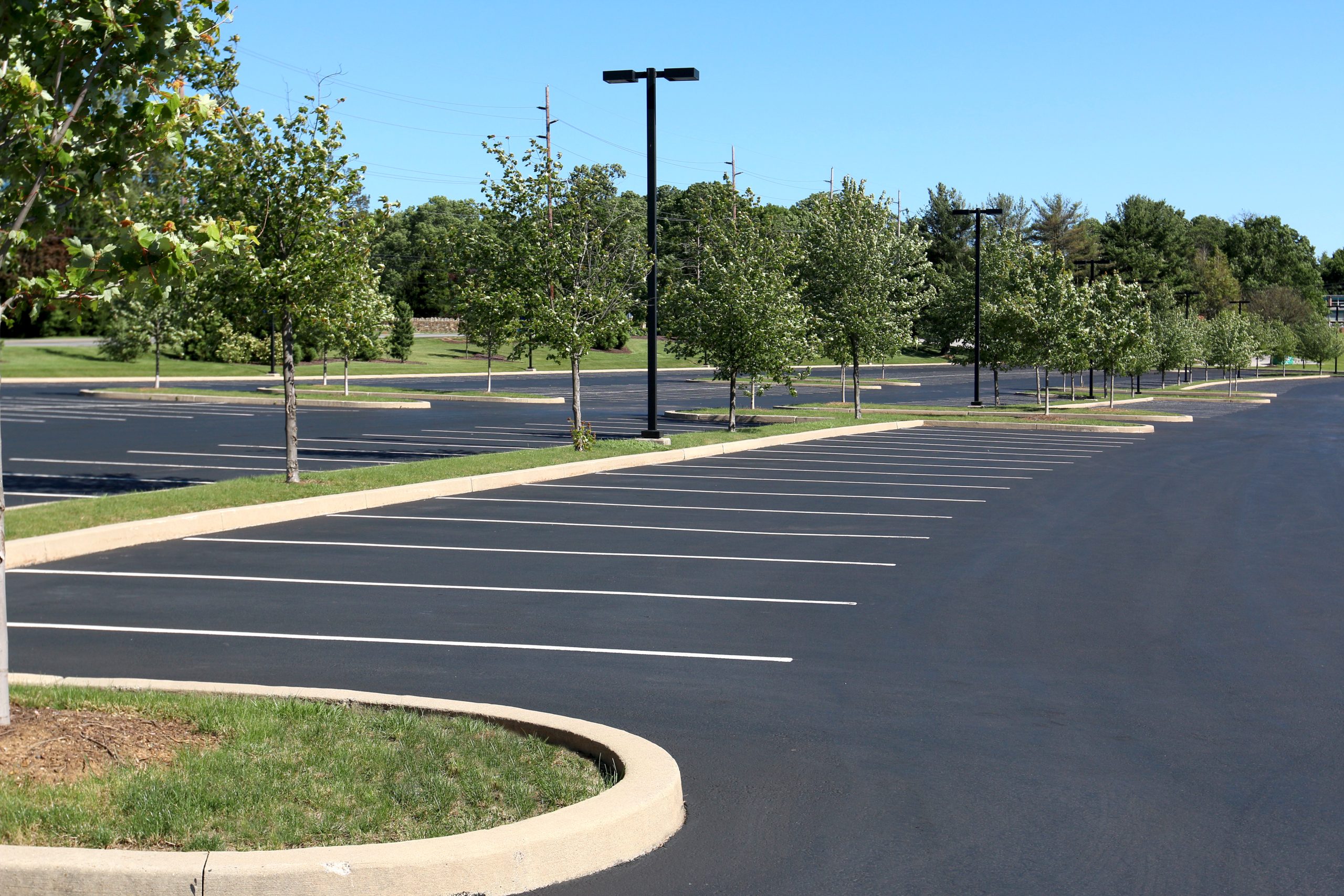 An empty parking lot with freshly painted lines and young trees along the perimeter.