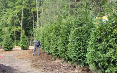 Looking for a Landscaping Company in Norwalk, CT? Here’s What to Expect (and Avoid)