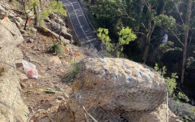 How to Remove Big Rocks from Your Yard